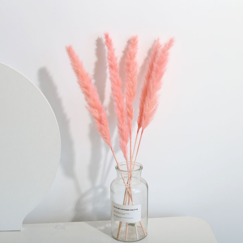 Hot Sale Christmas Vintage Luxury Space Office Home Natural Decoration Dried Flower Small Pink Pampas Grass for Wedding decor