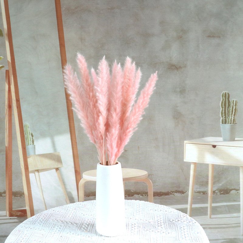 Amazon Hot Selling FeiShuo Decoration Pampas Grass Fluffy Pampas Grass 70-80cm Dried Pampas Grass For Floral Decoration