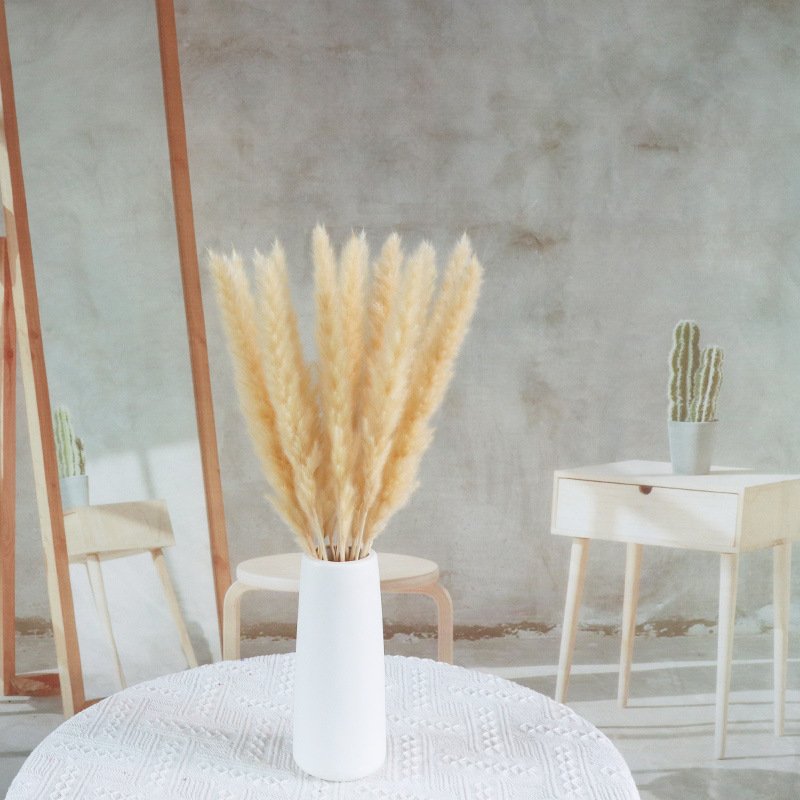 Amazon Hot Selling FeiShuo Decoration Pampas Grass Fluffy Pampas Grass 70-80cm Dried Pampas Grass For Floral Decoration