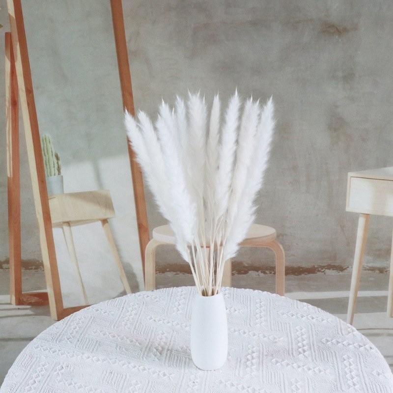 Amazon Hot Selling FeiShuo Decoration Pampas Grass Fluffy Pampas Grass 70-80cm Dried Pampas Grass For Floral Decoration