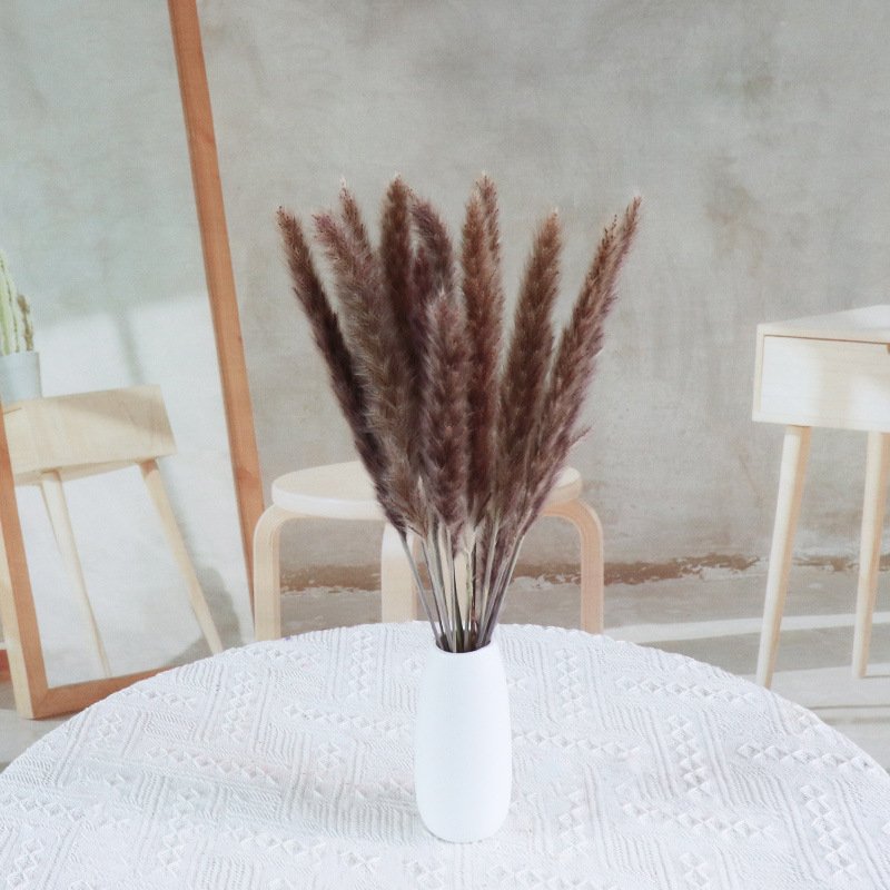 Amazon Hot Selling FeiShuo Decoration Pampas Grass Fluffy Pampas Grass 70-80cm Dried Pampas Grass For Floral Decoration