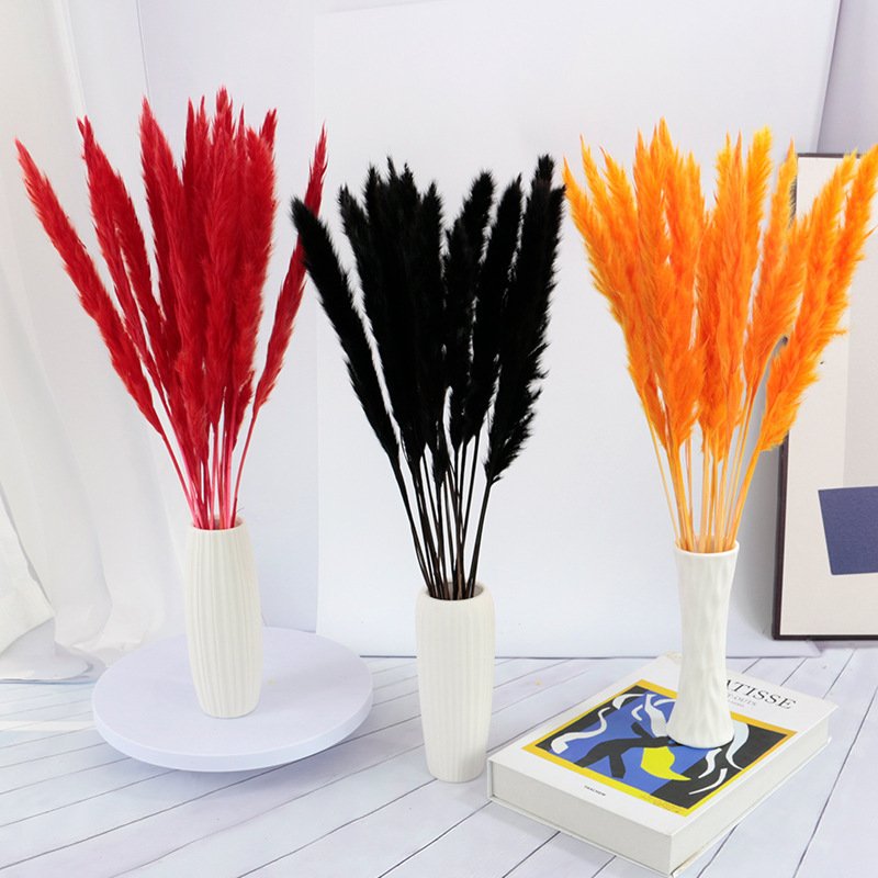 Amazon Hot Selling FeiShuo Decoration Pampas Grass Fluffy Pampas Grass 70-80cm Dried Pampas Grass For Floral Decoration
