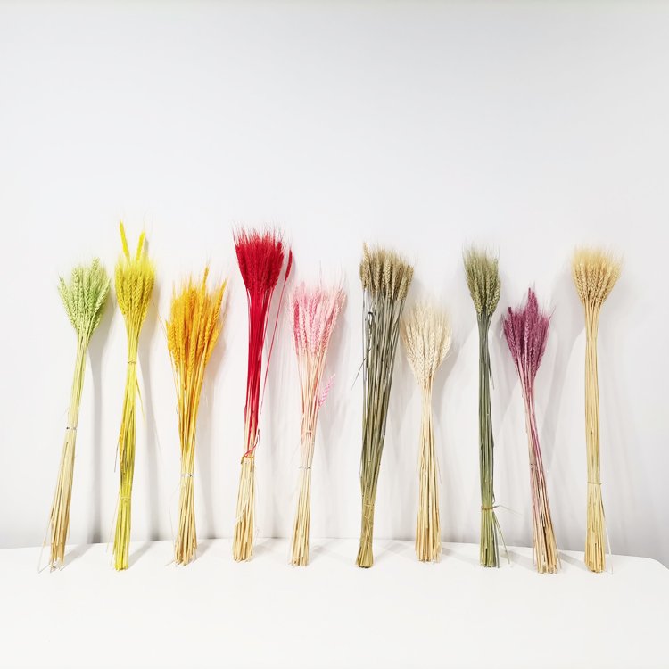sumflora wedding souvenir ideas for guests plant table decor flower long lasting flowers dried flowers barley