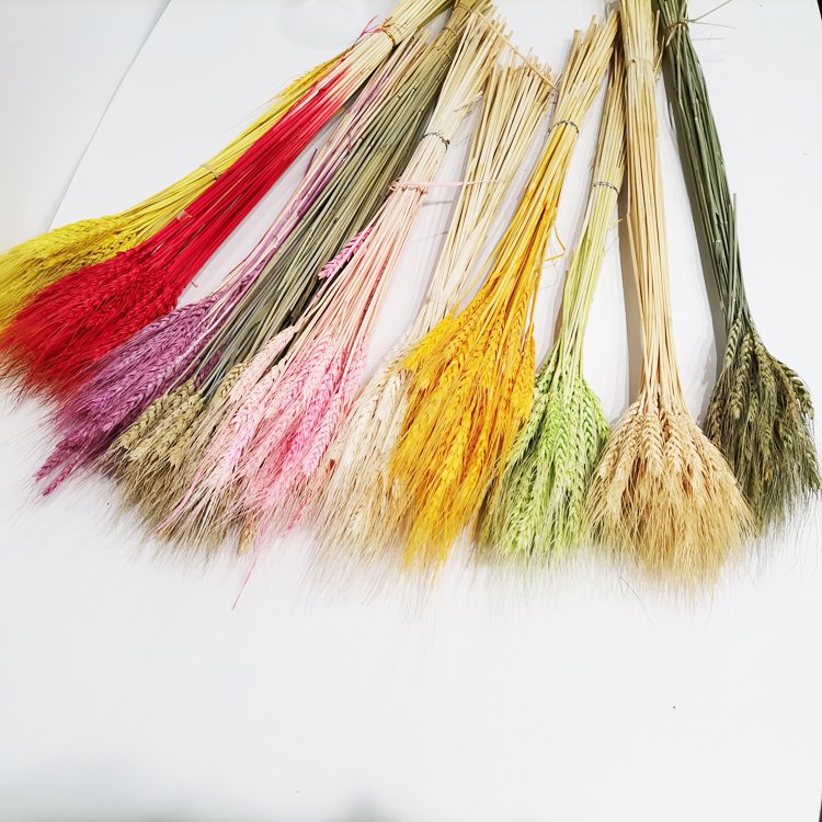 sumflora wedding souvenir ideas for guests plant table decor flower long lasting flowers dried flowers barley