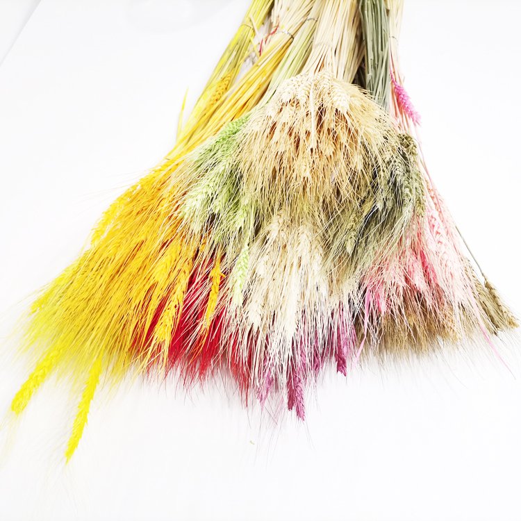 sumflora wedding souvenir ideas for guests plant table decor flower long lasting flowers dried flowers barley