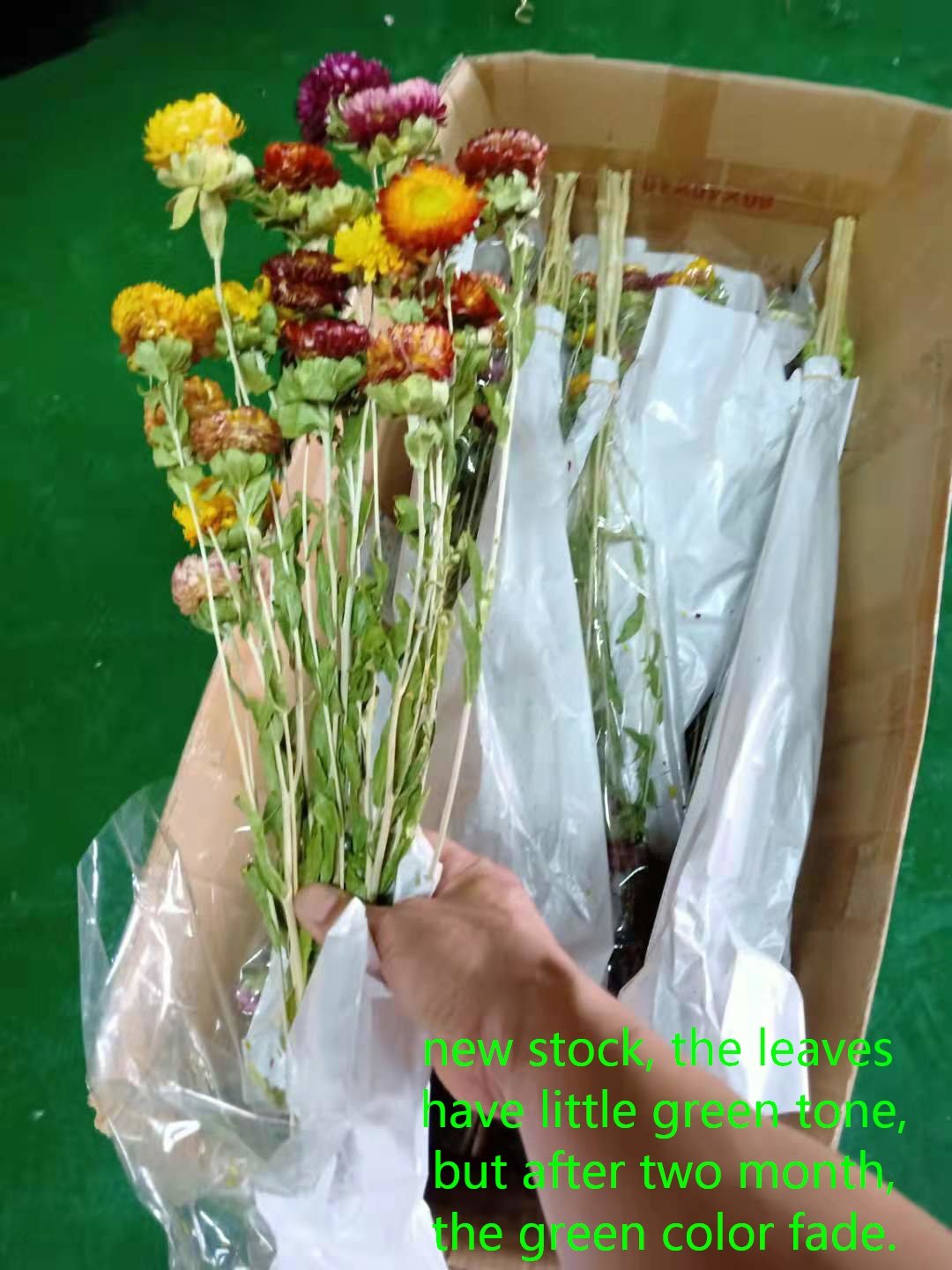 Dried natural daisy straw flower colorful chrysanthemum bouquet, for home wedding party decoration