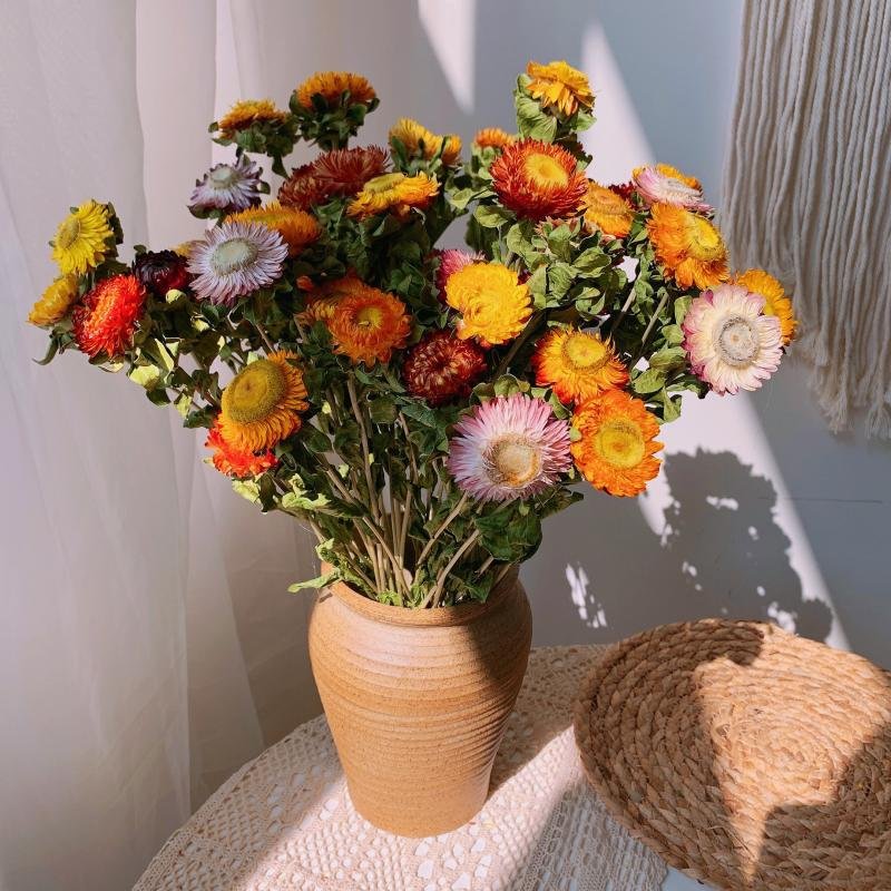 Dried natural daisy straw flower colorful chrysanthemum bouquet, for home wedding party decoration
