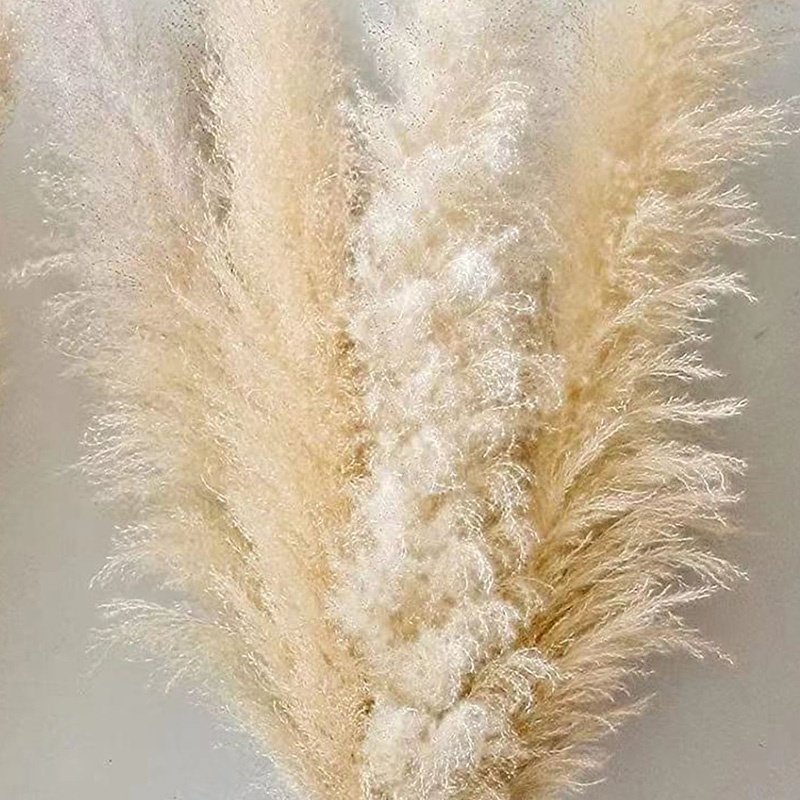 45-120cm natural pampas grass decor tall pompas grass tall pampas grass for Wedding Party farmhouse boho home decor