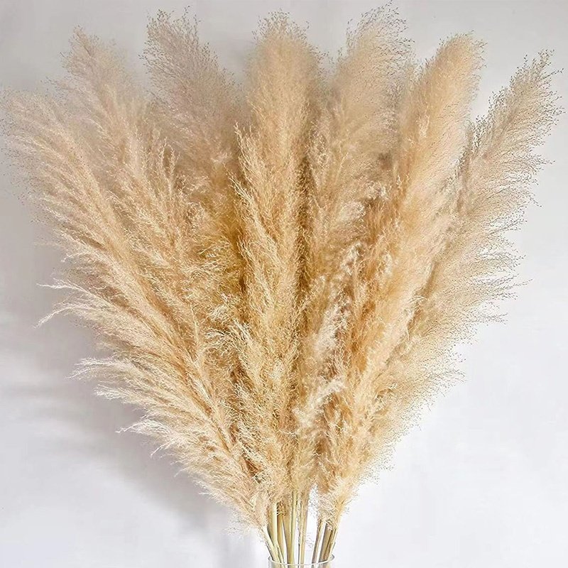 45-120cm natural pampas grass decor tall pompas grass tall pampas grass for Wedding Party farmhouse boho home decor