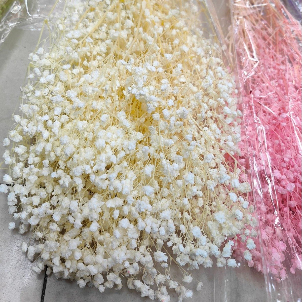 Low Price Dry Flower Baby Breath Preserved Dream Star Flower Bouquet Dried Gysophila for Decoration