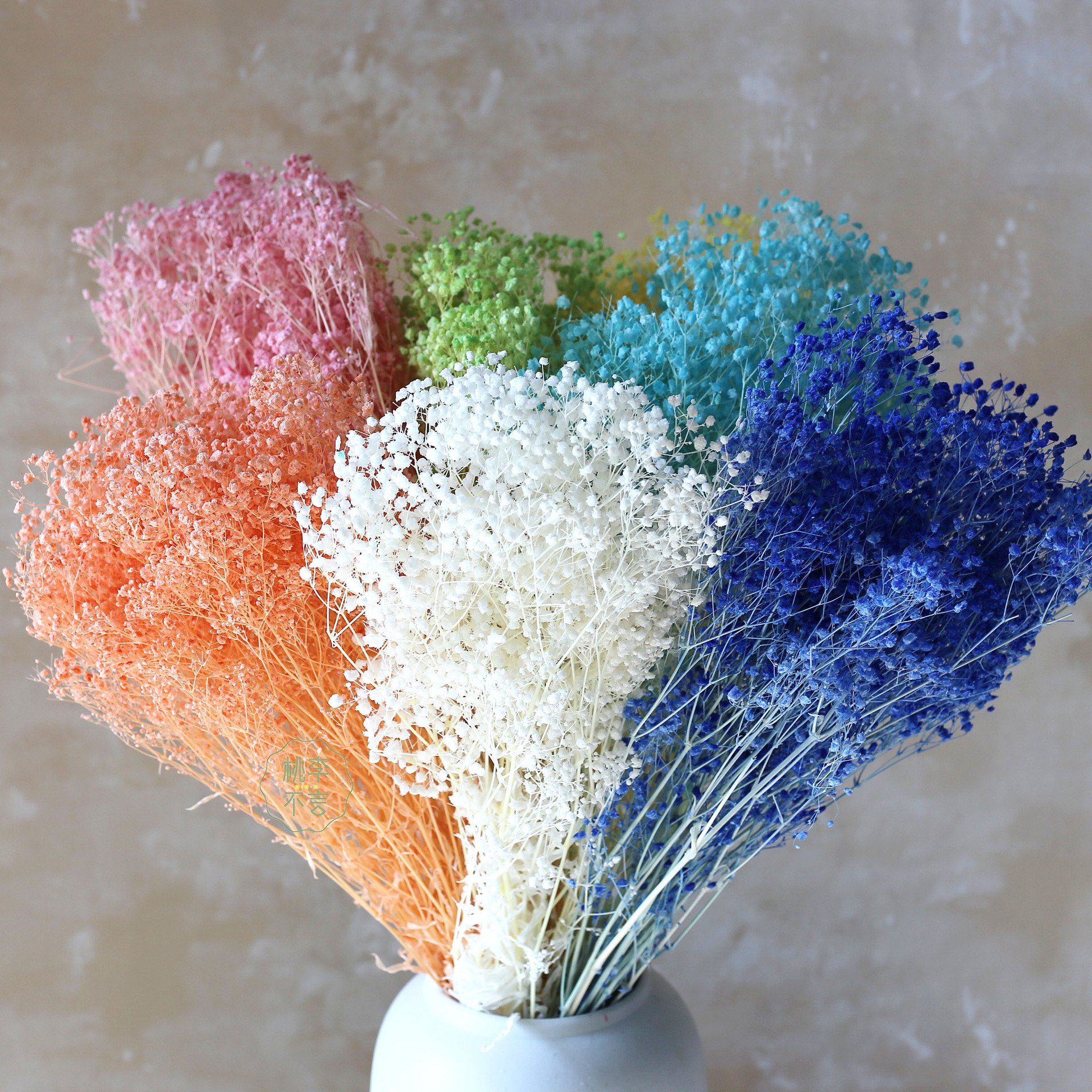 Low Price Dry Flower Baby Breath Preserved Dream Star Flower Bouquet Dried Gysophila for Decoration