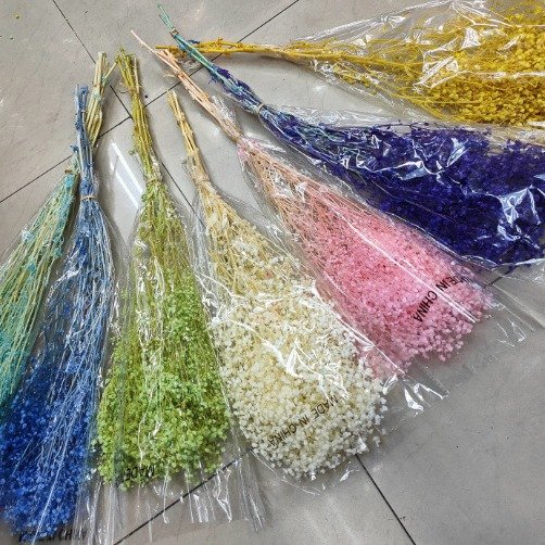 Low Price Dry Flower Baby Breath Preserved Dream Star Flower Bouquet Dried Gysophila for Decoration