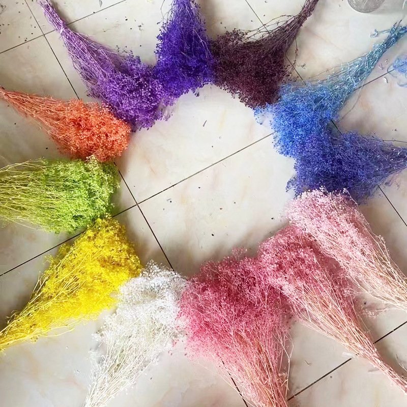 Low Price Dry Flower Baby Breath Preserved Dream Star Flower Bouquet Dried Gysophila for Decoration