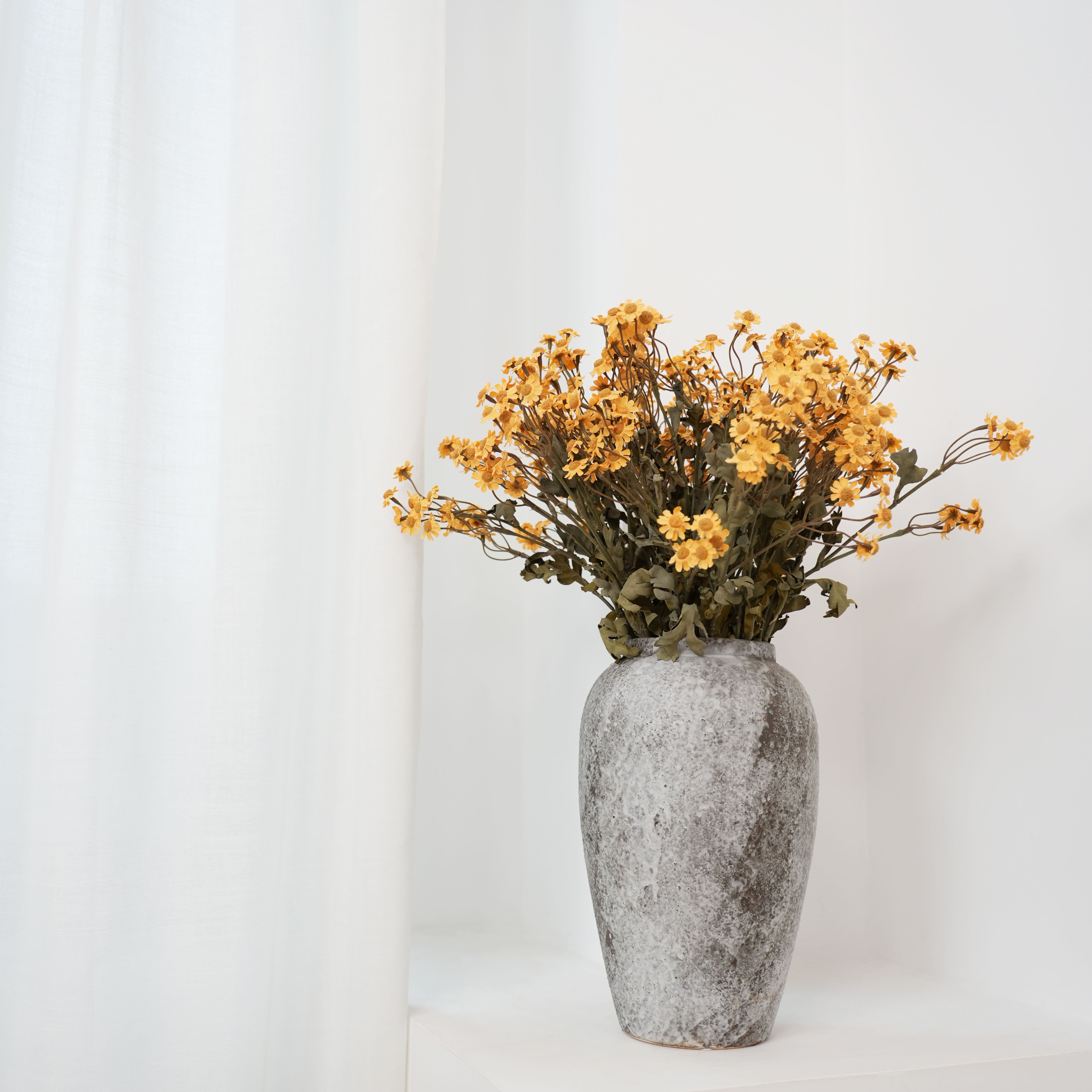 Wholesale preserved dried flowers preserved daisies dry chamomile flowers dried Silver Chrysanthemum for home decoration