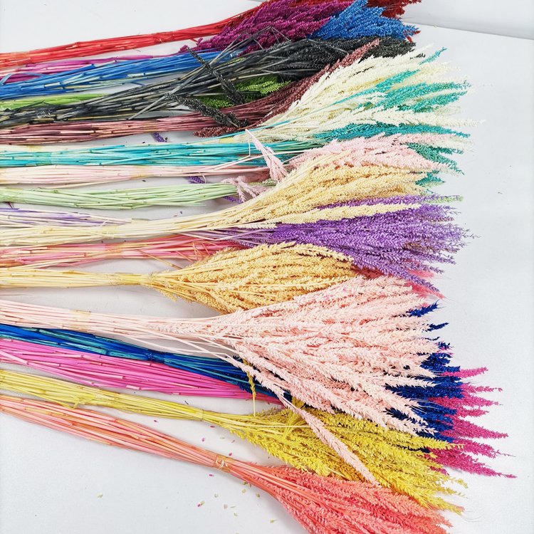 SumFlora Manufacturers supply Wholesale Dried Eternal Flowers preserved flower small wheat