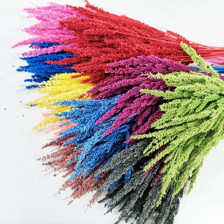 SumFlora Manufacturers supply Wholesale Dried Eternal Flowers preserved flower small wheat