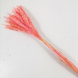 hotpink