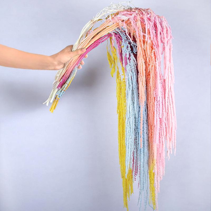 Hot-selling Natural Amaranthus Flower Dried Preserved Bleached Wisteria Hanging Vine Flowers for Wedding Bouquet Home Wall Decor