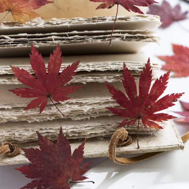 MNR2121 red color real pressed maple flower for photo frame DIY craft