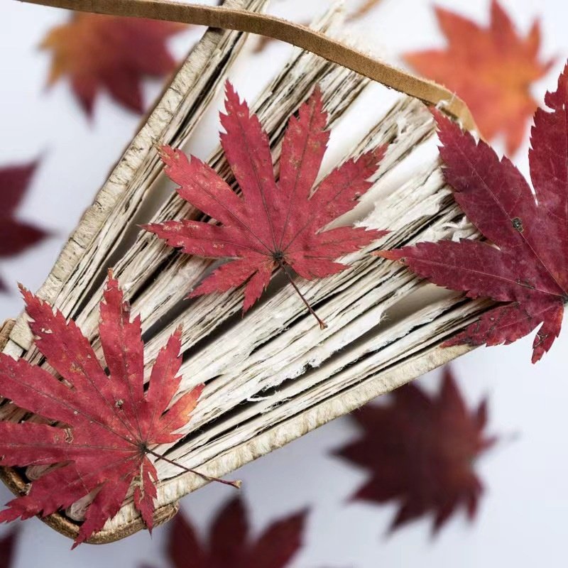 MNR2121 red color real pressed maple flower for photo frame DIY craft