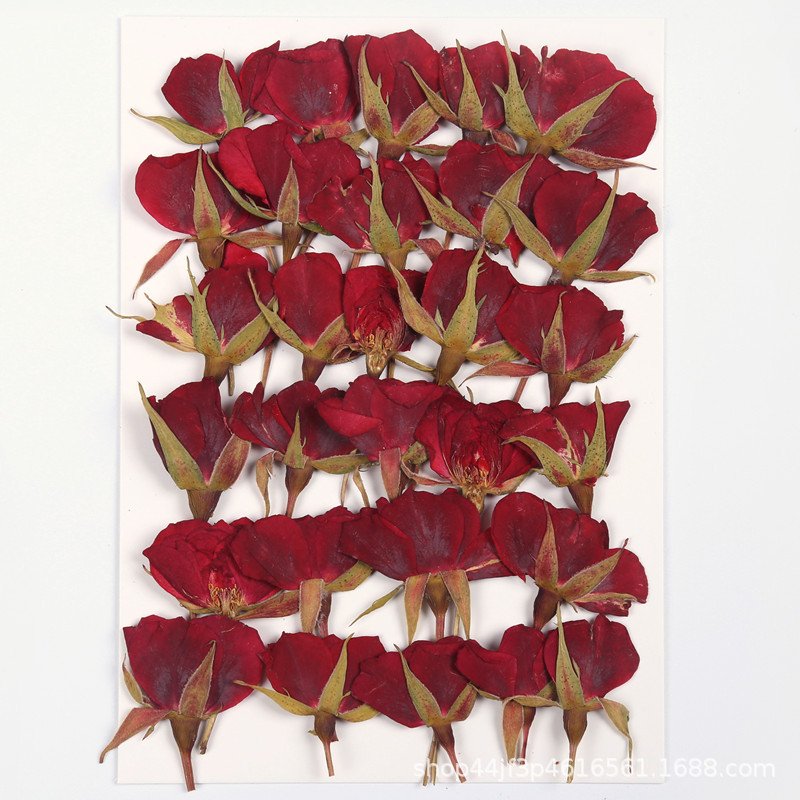 Natural Rose Pressed Rosa Chinensis Chinese Rose Dried Flowers DIY Resin For Epoxy Resin Mold Pendant Making