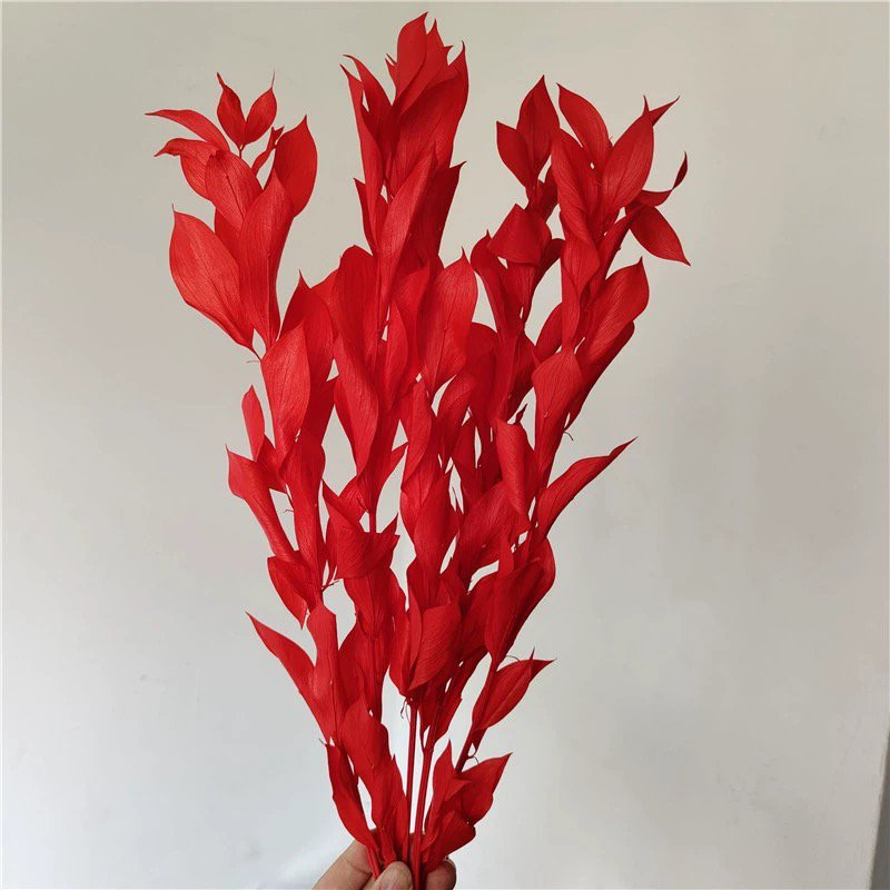 Dried Preserved Eternal Foliage Citrus reticulata leaves Decorative Flowers Israeli Ruscus Wholesale Orange Leaf