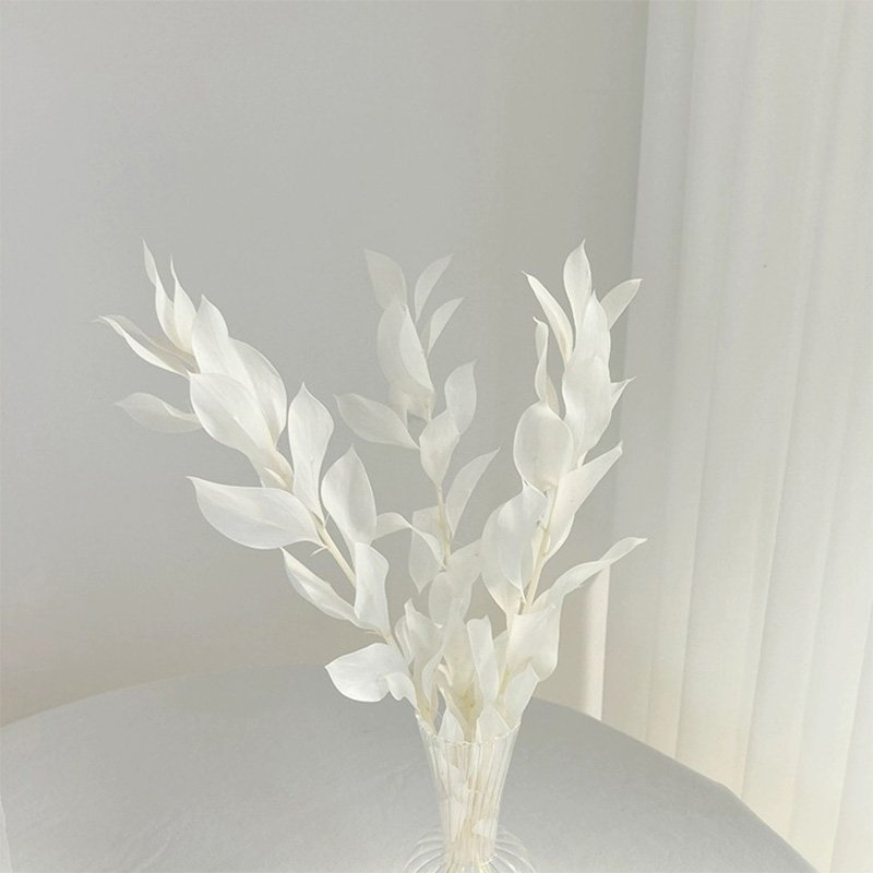 Dried Preserved Eternal Foliage Citrus reticulata leaves Decorative Flowers Israeli Ruscus Wholesale Orange Leaf