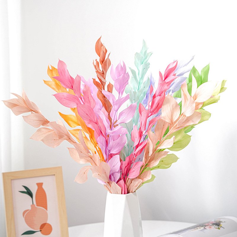 Dried Preserved Eternal Foliage Citrus reticulata leaves Decorative Flowers Israeli Ruscus Wholesale Orange Leaf