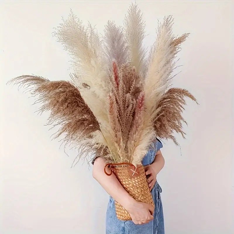 70 CM Pompi Grass White Extra Fluffy Natural Dried Pampas Grass Tall for Floor Vases Wedding Floral Arrangements