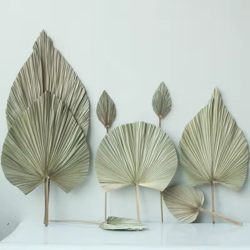 Natural Dried Real Palm Spears Flowers Arrangement Prune Palm Frond Leaves Palm Leaf Fan for Boho Wedding Home Decor
