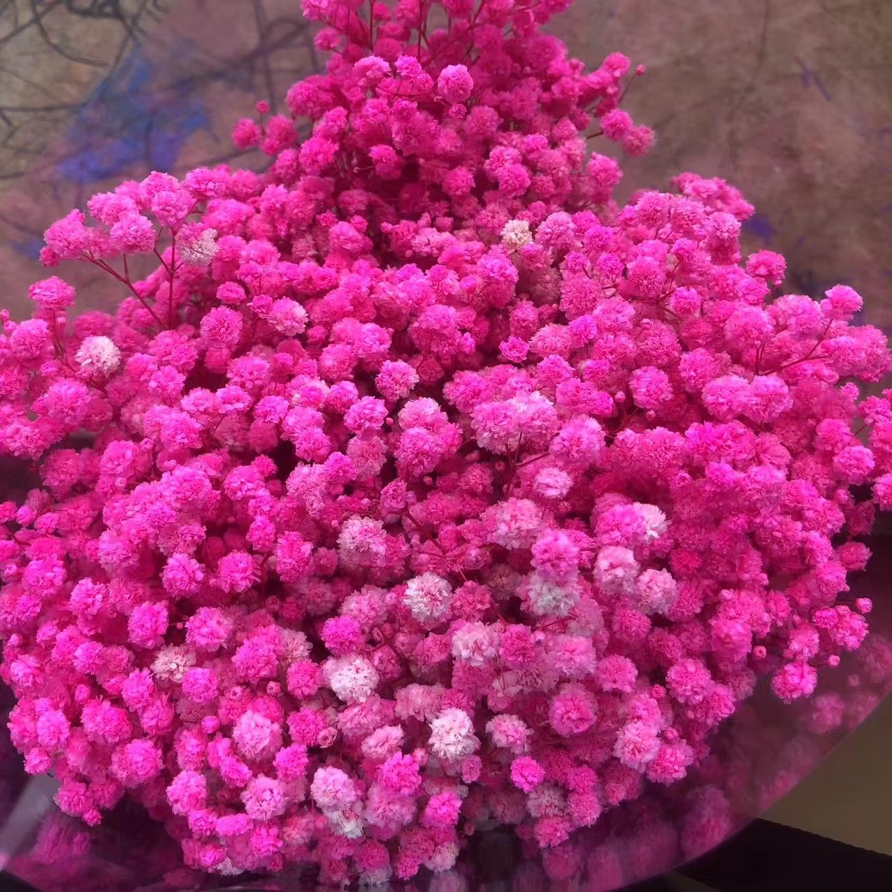 120g Factory Wholesale dried flowers Preserved Natural Gypsophila Babys Breath Bouquet For Wedding Floral flower Arrangement