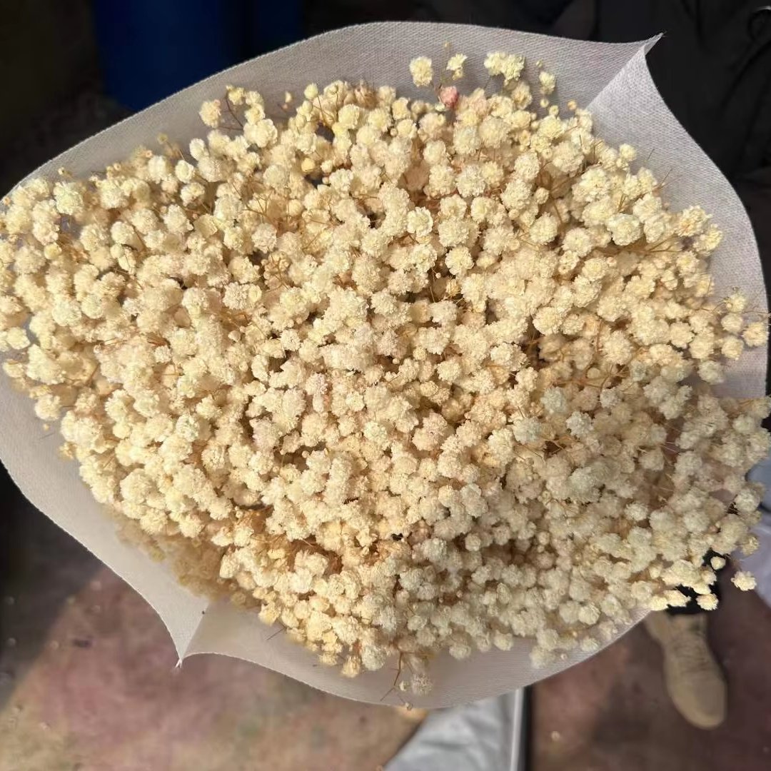 120g Factory Wholesale dried flowers Preserved Natural Gypsophila Babys Breath Bouquet For Wedding Floral flower Arrangement