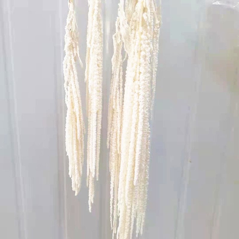 Ceiling Tree Branch Decoration of Wedding Artificial Flowers Dried Amaranthus caudatusTassel Fimbriate Long Spike Flowers