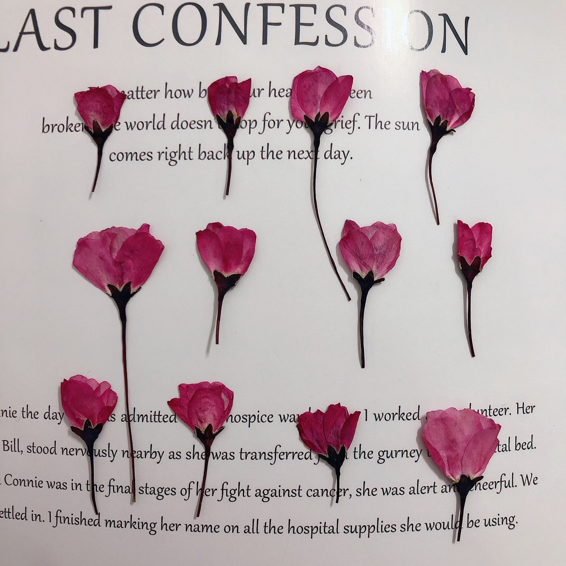 MNR1936 dry press flower for DIY phone case