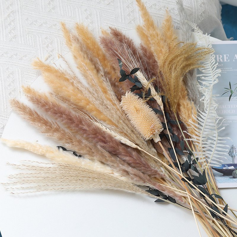 Wholesale custom dry flower bouquet preserved flower bouquet bunny tails dried flowers grass for wedding decoration