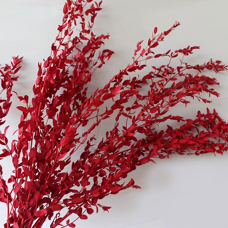Preserved Teardrop Eucalptus 100% Natural Plant Dried Eucalyptus Parvafolia Eucalptus Leaves in Bulk
