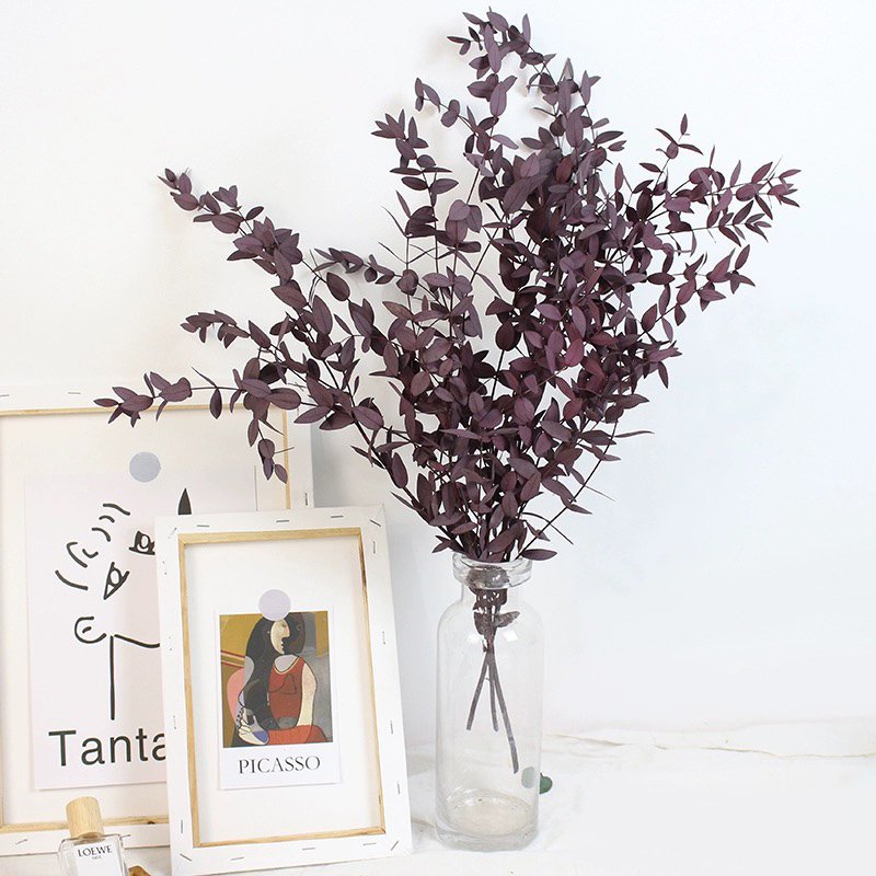 Preserved Teardrop Eucalptus 100% Natural Plant Dried Eucalyptus Parvafolia Eucalptus Leaves in Bulk