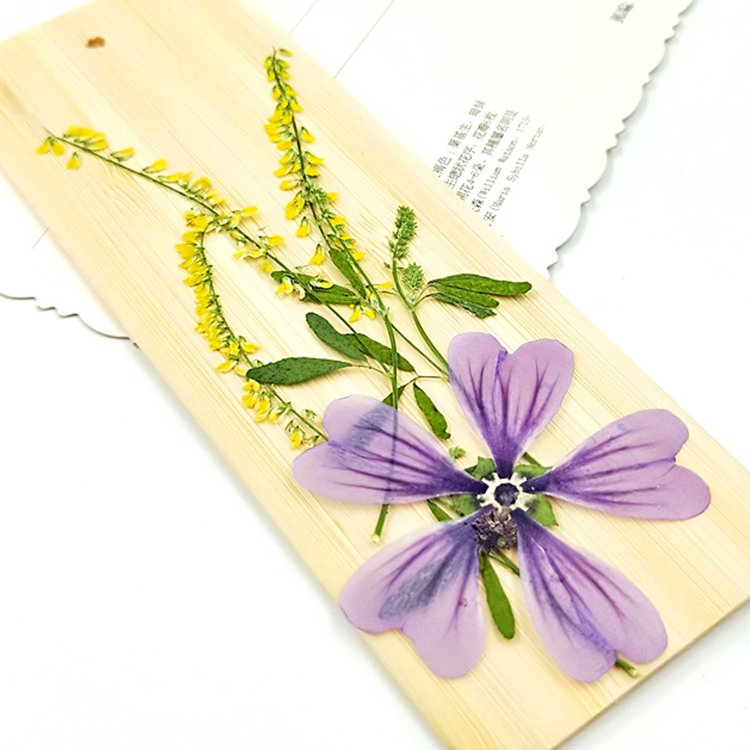 I633 Leaves of Plants Bookmark Decoration Handmade Craft Decoration for Gift Dried Pressed Flowers