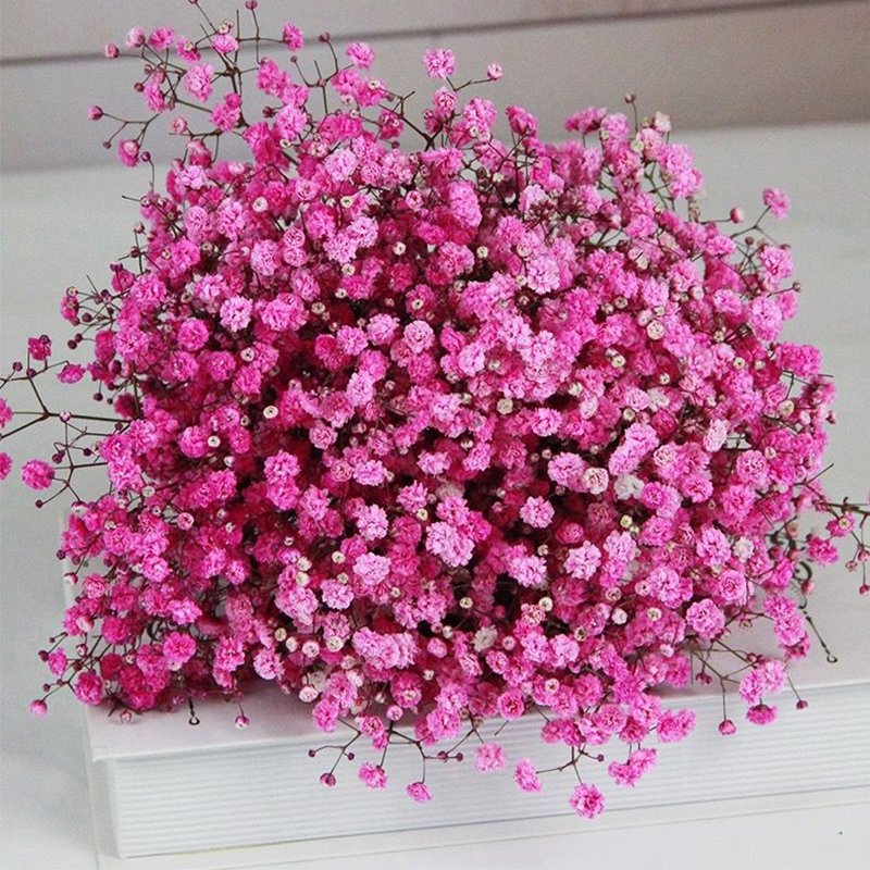 Wholesale Valentine Gift Preserved Gypsophila Dried Baby Breath Flowers Preserved Baby Breath Babysbreath