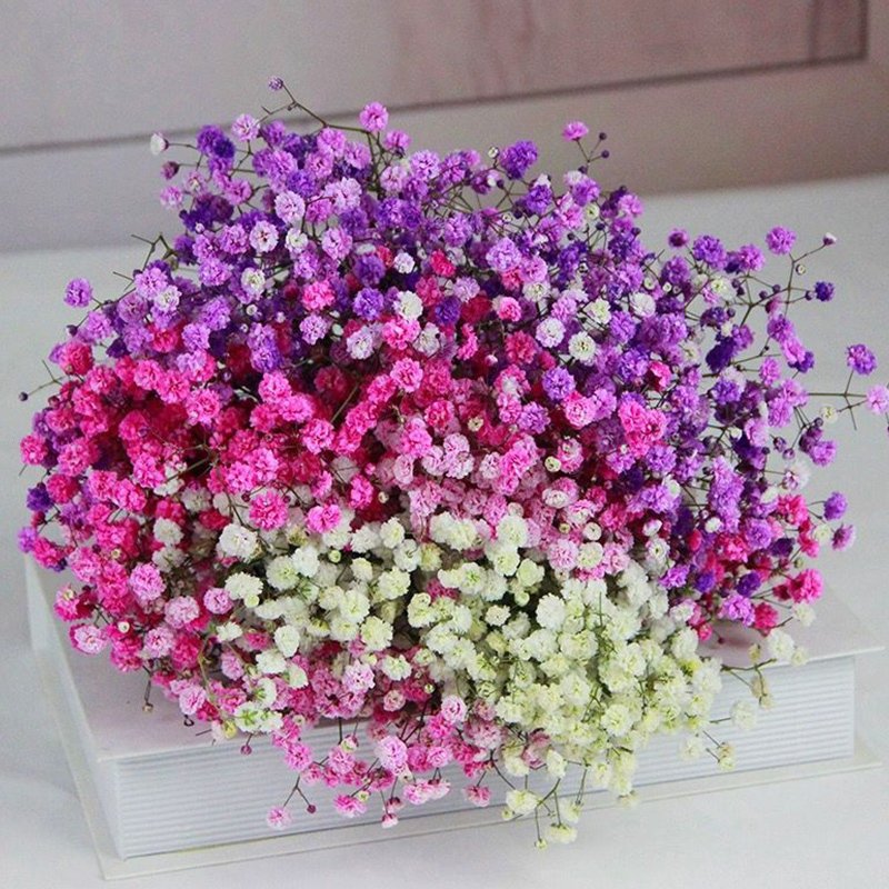 Wholesale Valentine Gift Preserved Gypsophila Dried Baby Breath Flowers Preserved Baby Breath Babysbreath