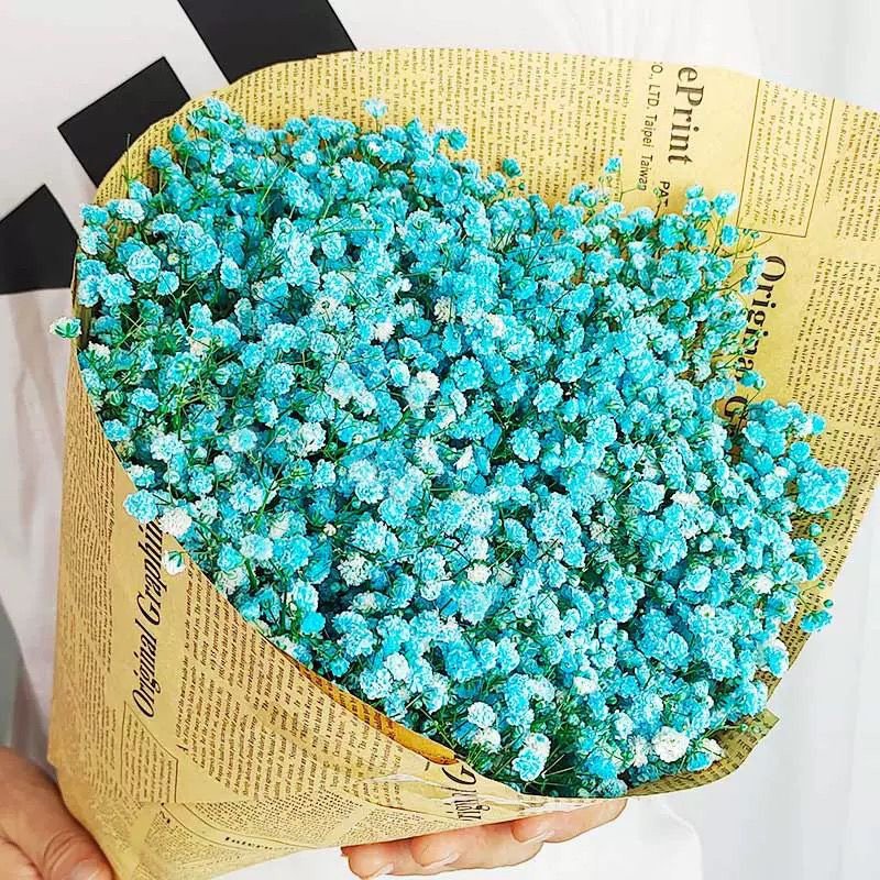 Wholesale Valentine Gift Preserved Gypsophila Dried Baby Breath Flowers Preserved Baby Breath Babysbreath