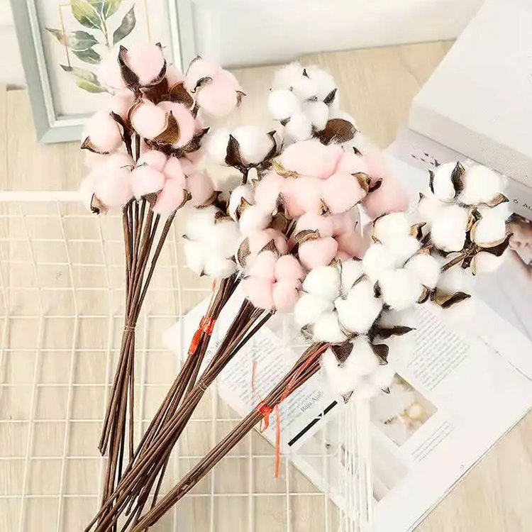 2024 Natural cotton branch dried cotton flowers for home wedding party decorative