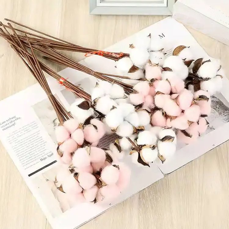 2024 Natural cotton branch dried cotton flowers for home wedding party decorative