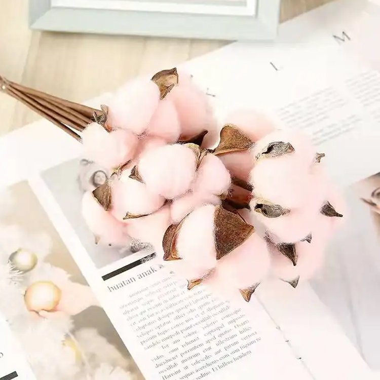 2024 Natural cotton branch dried cotton flowers for home wedding party decorative