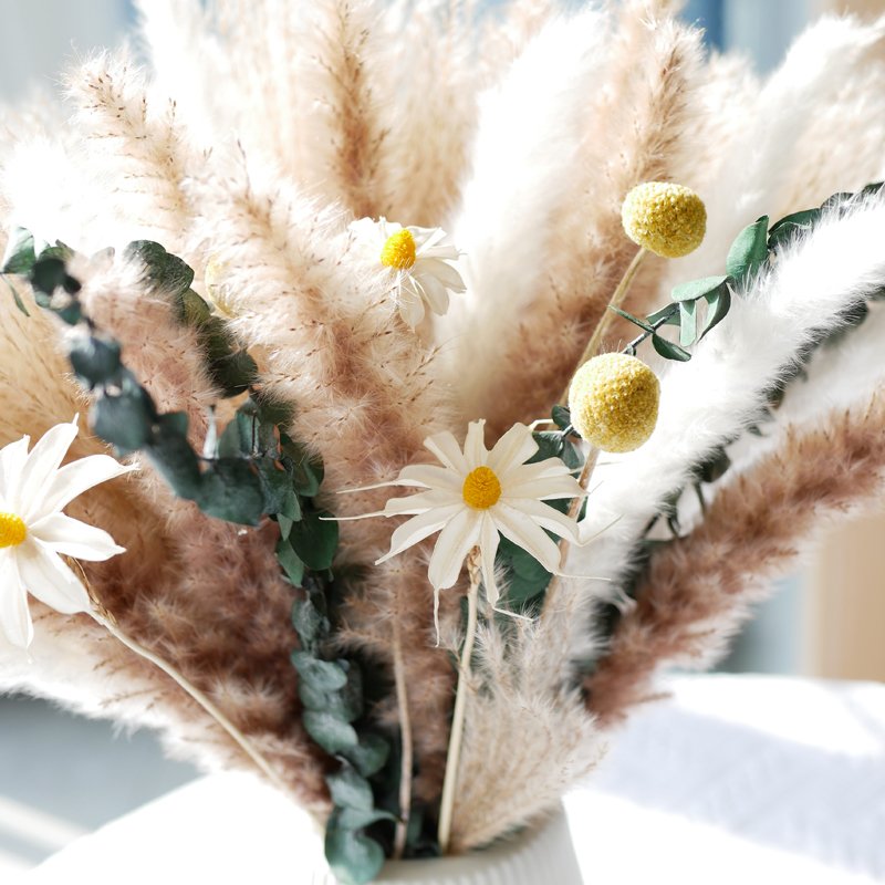 Pampas Grass Bouquet Boho Style Home Living Decor Wholesale Dried Flowers Bouquet Natural Bunny Tails Pampas Grass Bouquet