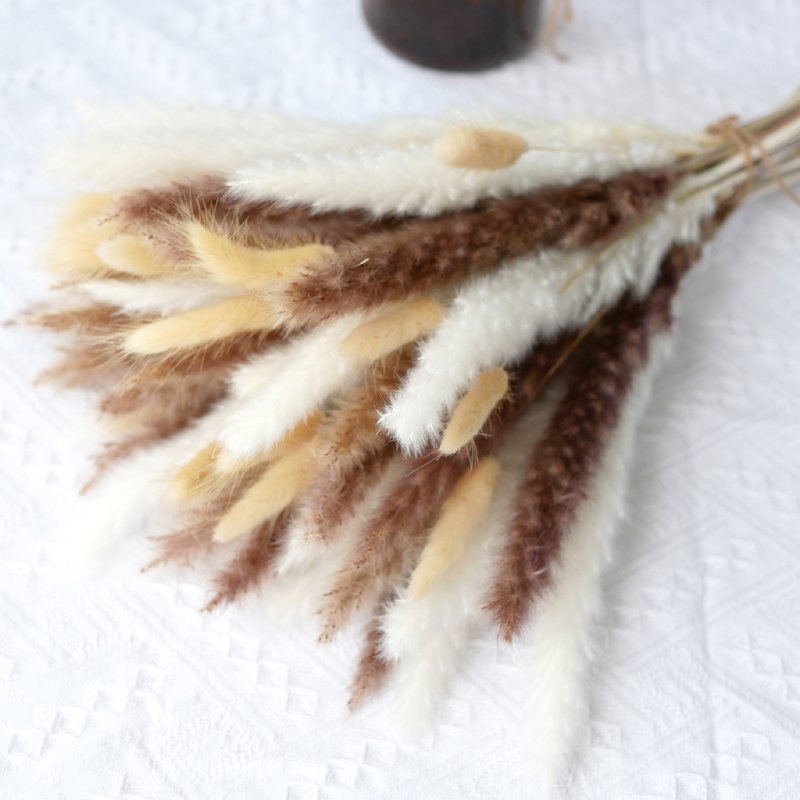 Pampas Grass Bouquet Boho Style Home Living Decor Wholesale Dried Flowers Bouquet Natural Bunny Tails Pampas Grass Bouquet