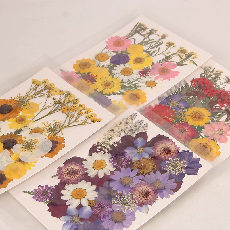 Hotselling Mixed Handicraft Natural Dried Pressed Flower For Scrapbooking DIY Candle Accessories Jewelry Craft