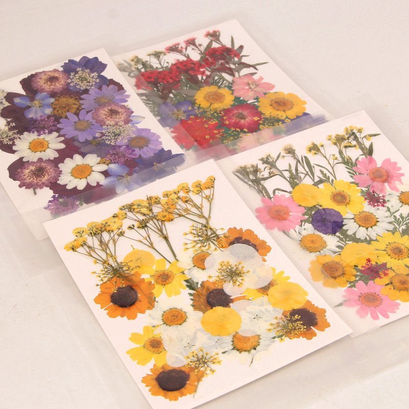 Hotselling Mixed Handicraft Natural Dried Pressed Flower For Scrapbooking DIY Candle Accessories Jewelry Craft