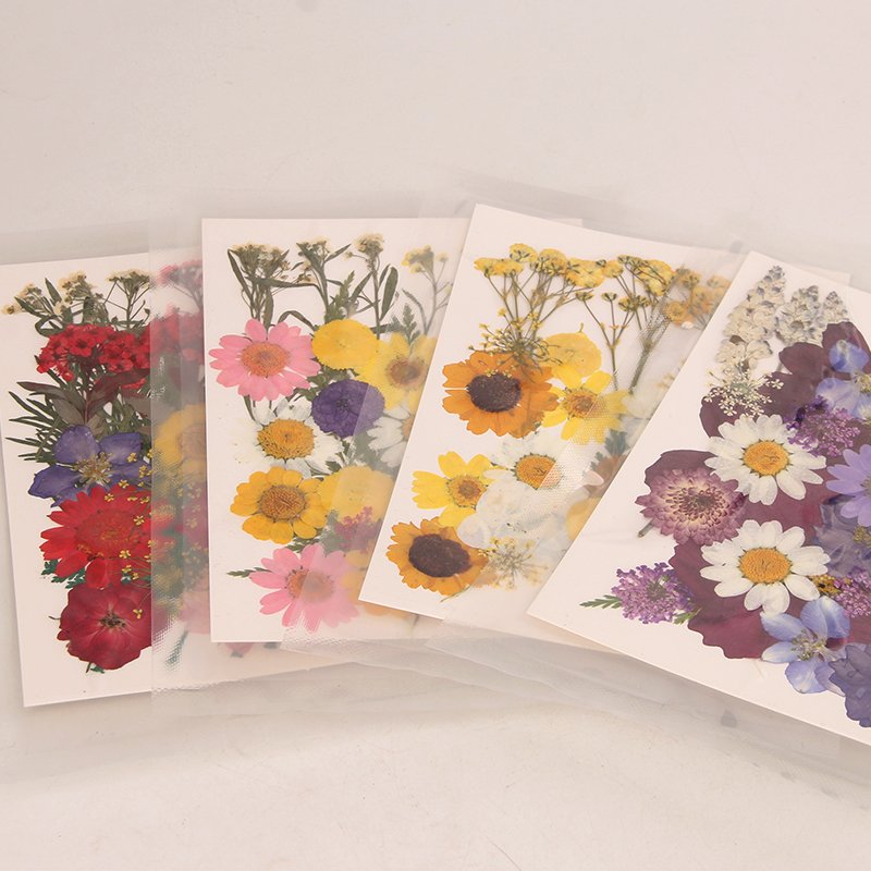 Hotselling Mixed Handicraft Natural Dried Pressed Flower For Scrapbooking DIY Candle Accessories Jewelry Craft