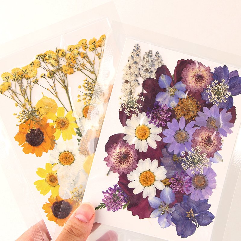 Hotselling Mixed Handicraft Natural Dried Pressed Flower For Scrapbooking DIY Candle Accessories Jewelry Craft